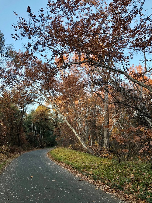 Bidwell Park in Chico CA