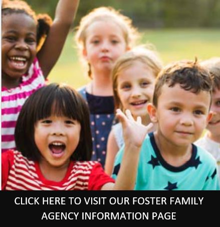 Get more information on fostering by clicking heree
