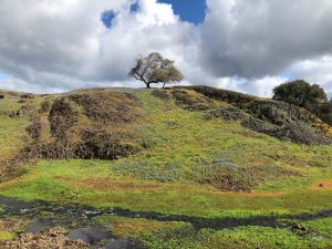 Table Mountain Oroville_by Jennifer Lyon Table Mountain