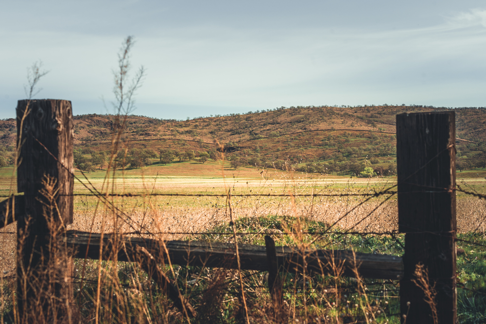 Tehama County landscape